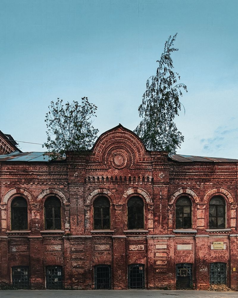 Photograph by Zina Lifanova