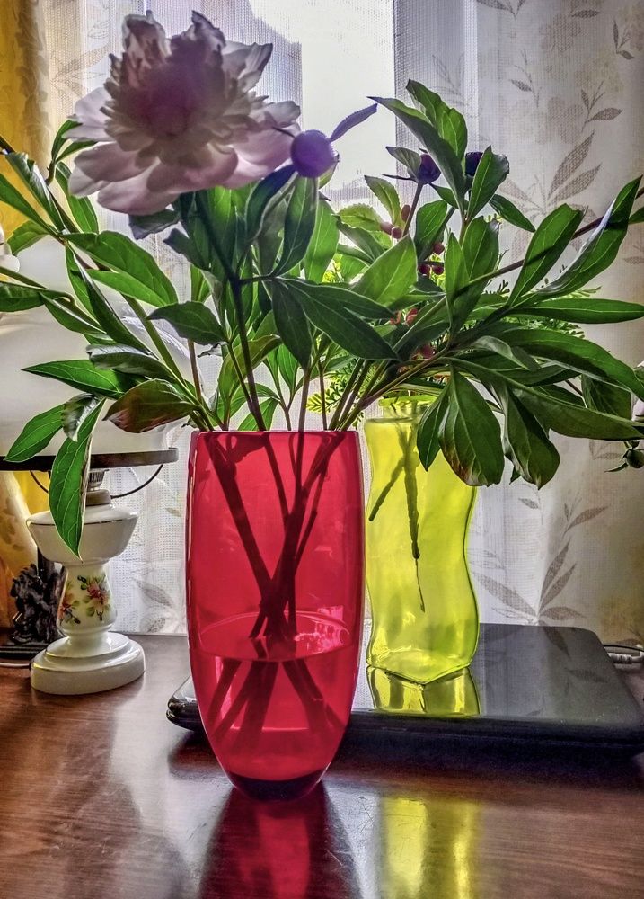 Photograph by Sergey Kurkov-Tarkovsky