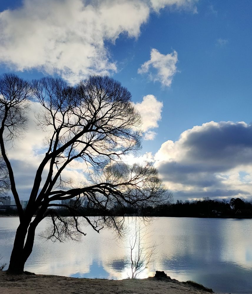 Photograph by Zina Lifanova