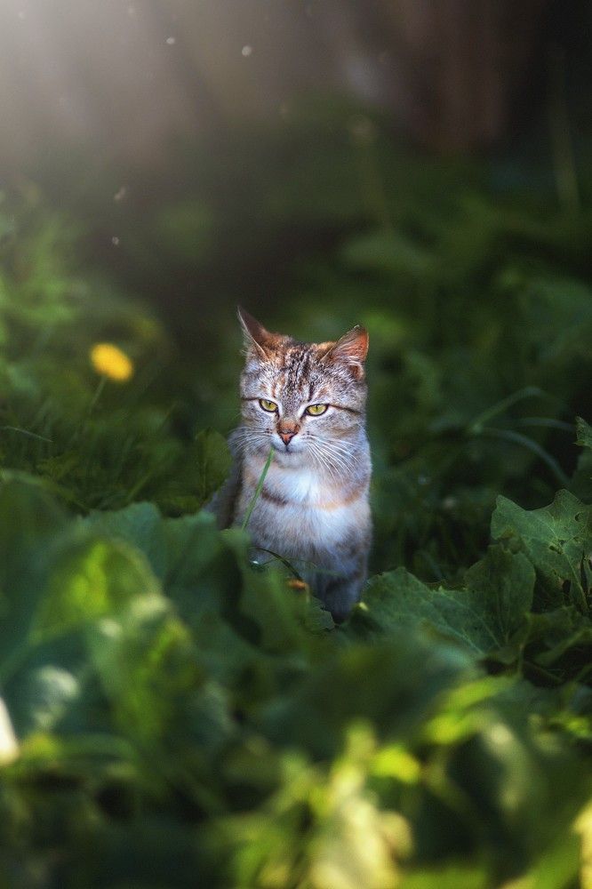 Photograph by Татьяна Максакова