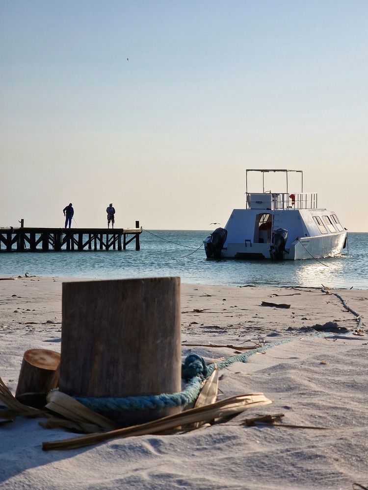 Photograph by Ksenia Sannikova