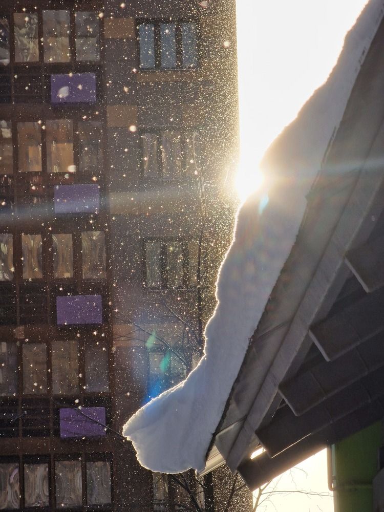 Photograph by Ksenia Sannikova