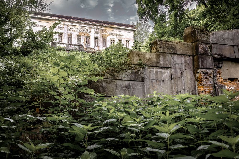 Фотография автора Сережа Сережин