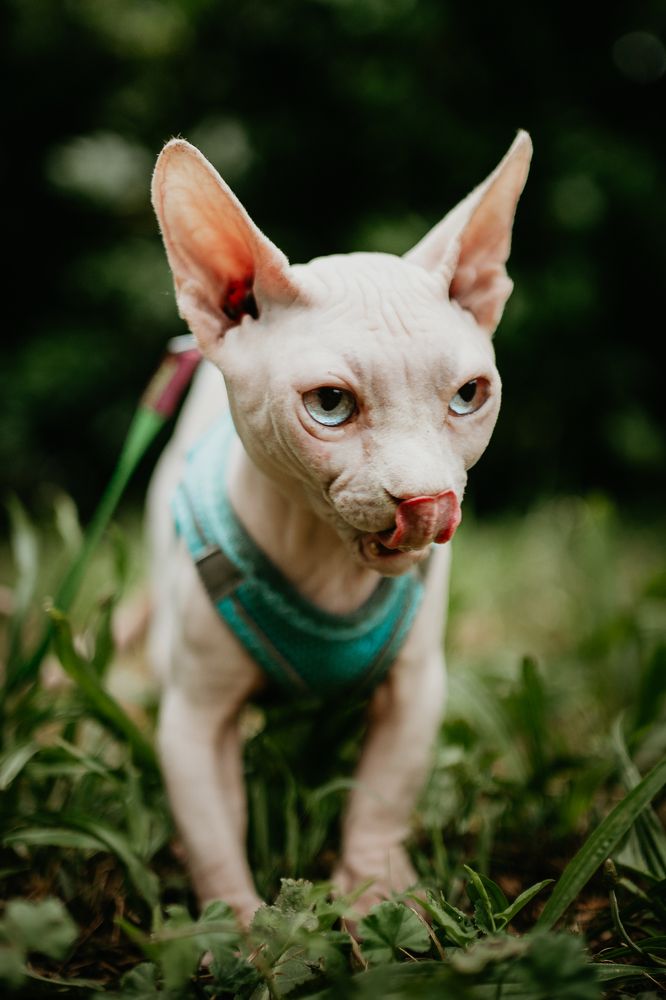 Photograph by Ned Stoyanov