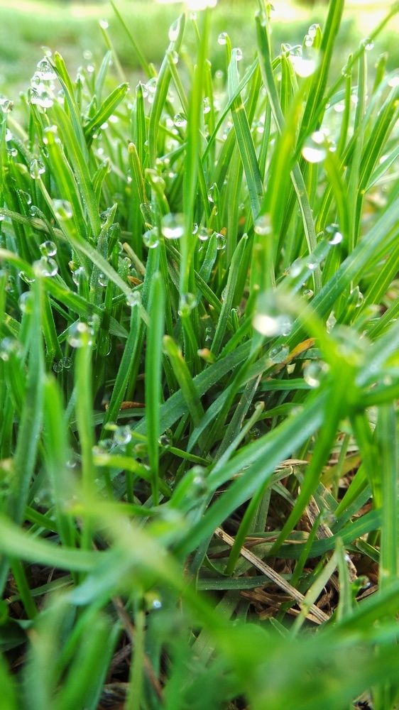 Photograph by Игорь Тюменцев