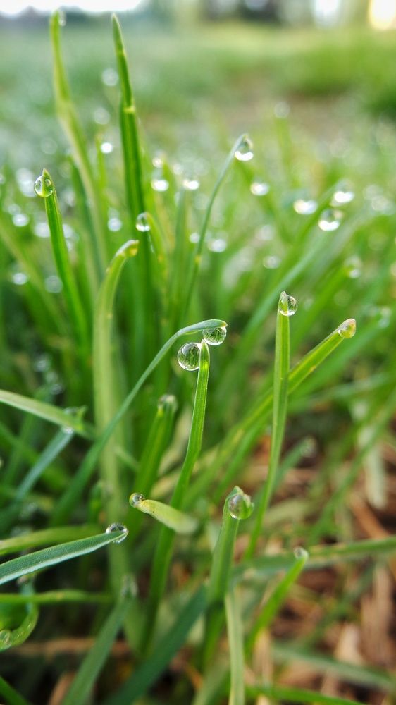 Photograph by Игорь Тюменцев