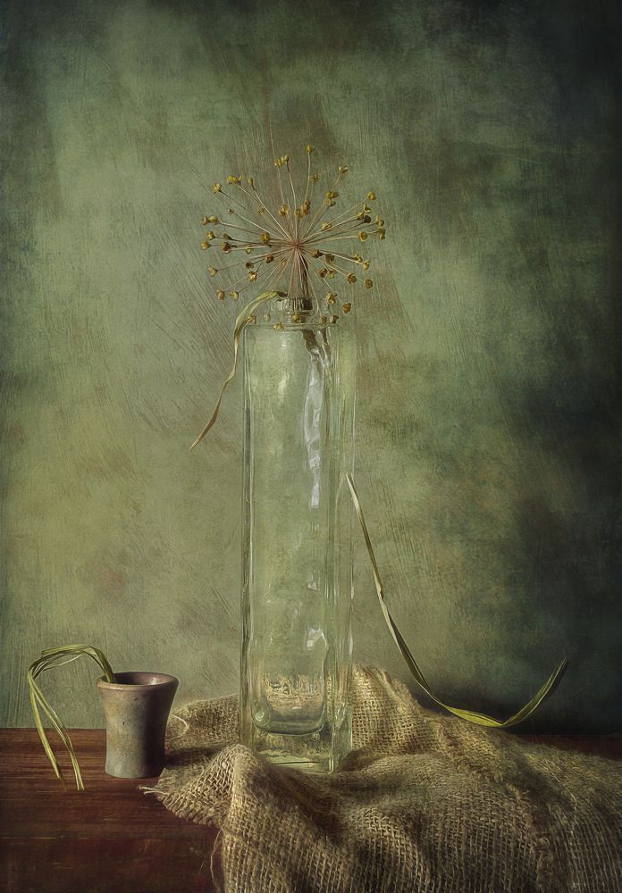 Photograph by Олег Расторгуев