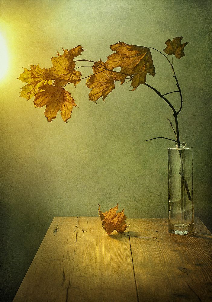 Photograph by Олег Расторгуев