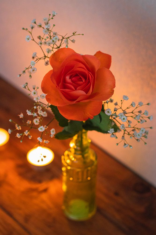 Photograph by Irina Chekanov