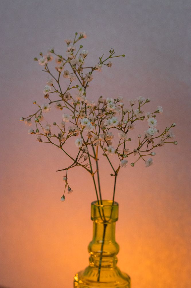 Photograph by Irina Chekanov