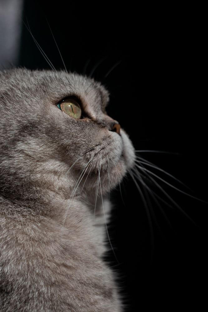 Photograph by Irina Chekanov