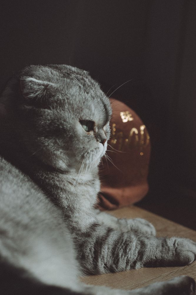 Photograph by Irina Chekanov