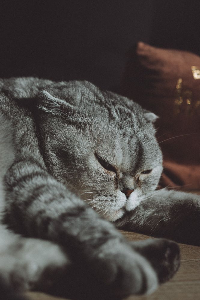 Photograph by Irina Chekanov