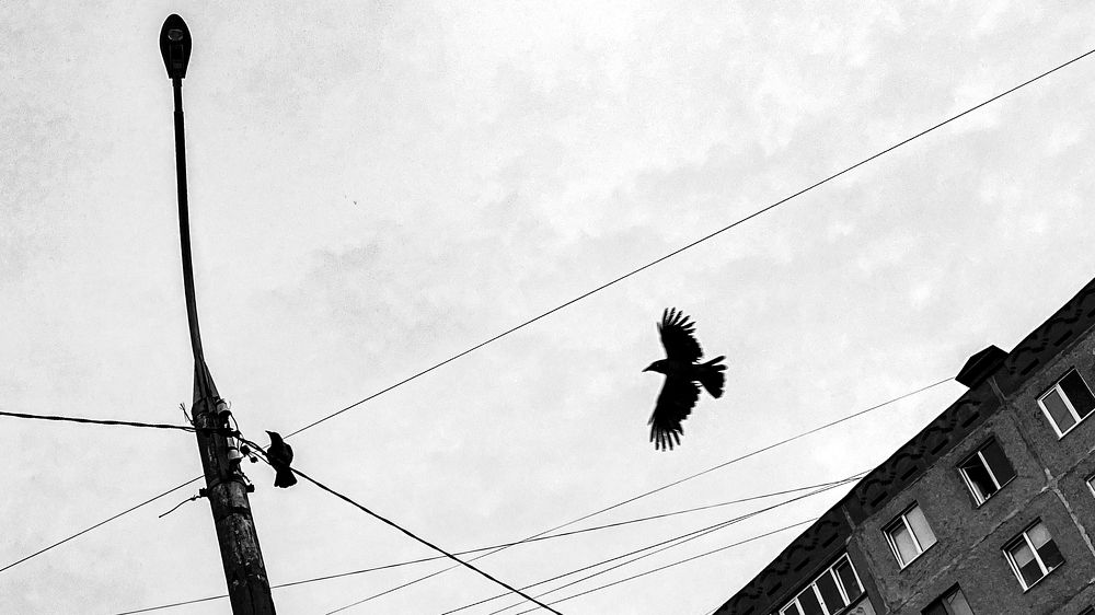 Photograph by Антон Глухов