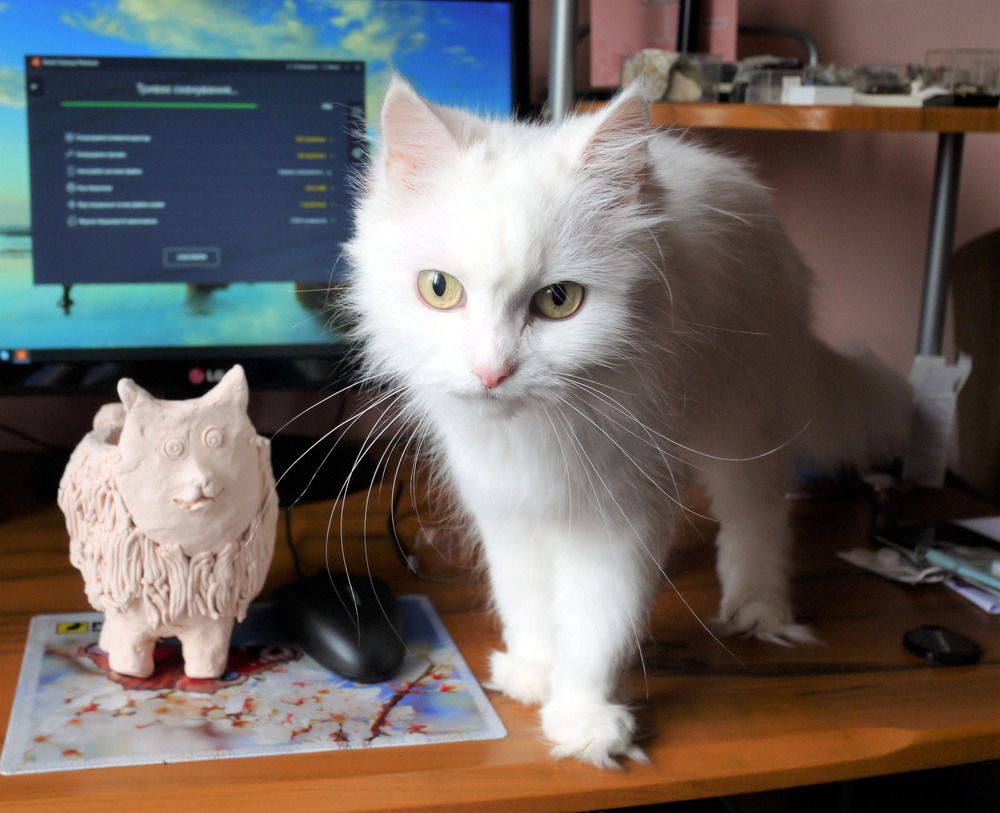 Photograph by Володимир Федишин