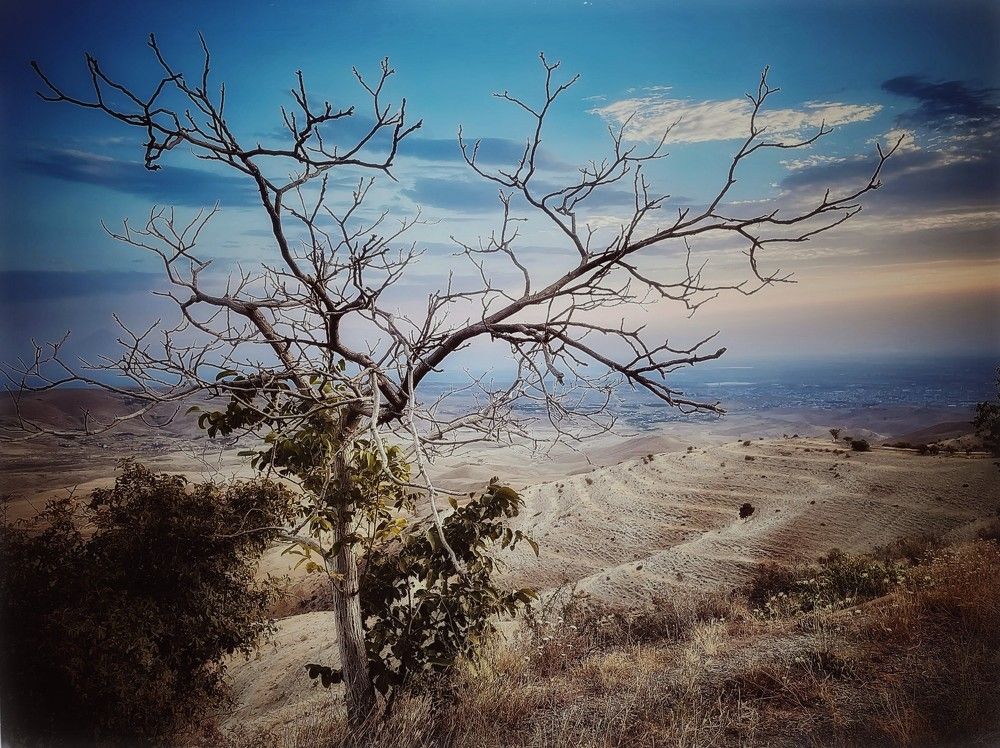 Photograph by Iuliia Akhulkova