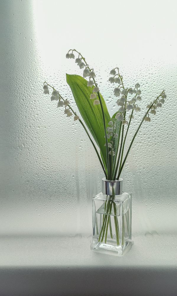 Фотография автора Анастасия Мамаева