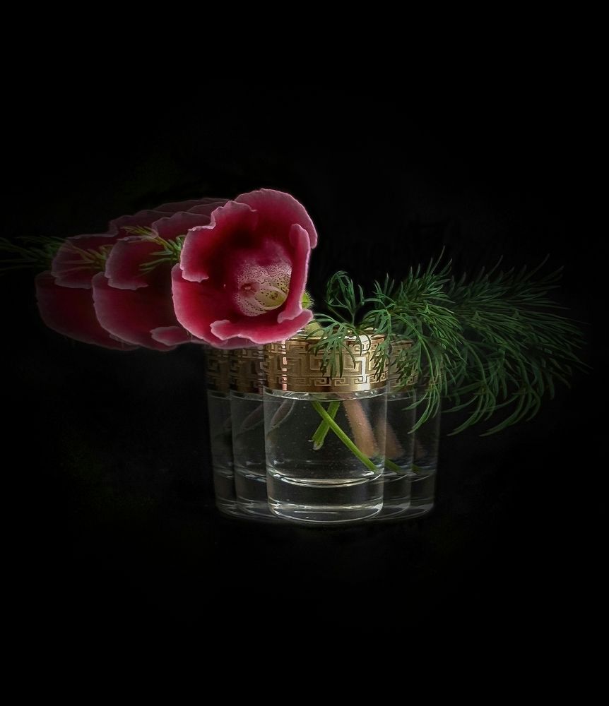 Фотография автора Анастасия Мамаева