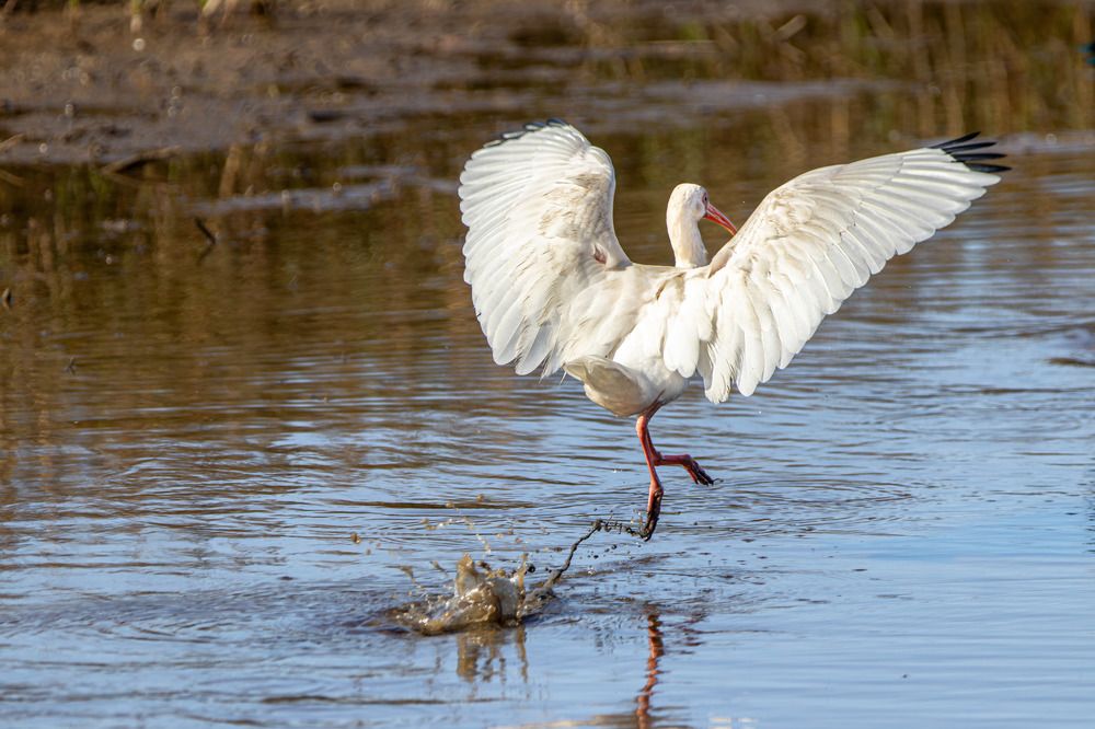 Photograph by Анатолий Костерев
