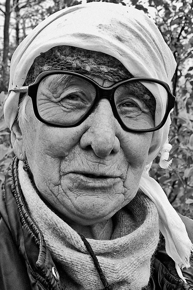 Сезон сбора ягод и грибов