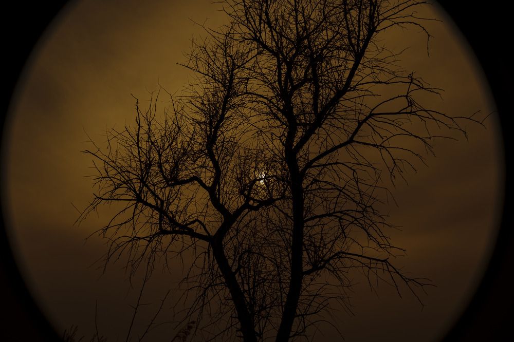 Photograph by Влад Розенталь