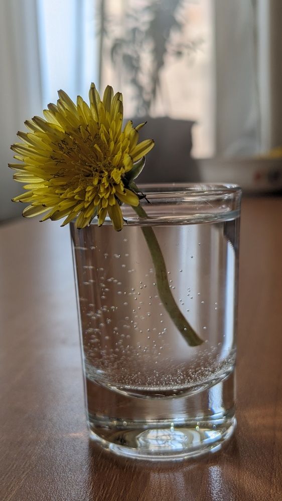 Photograph by Lilit Petrosyan