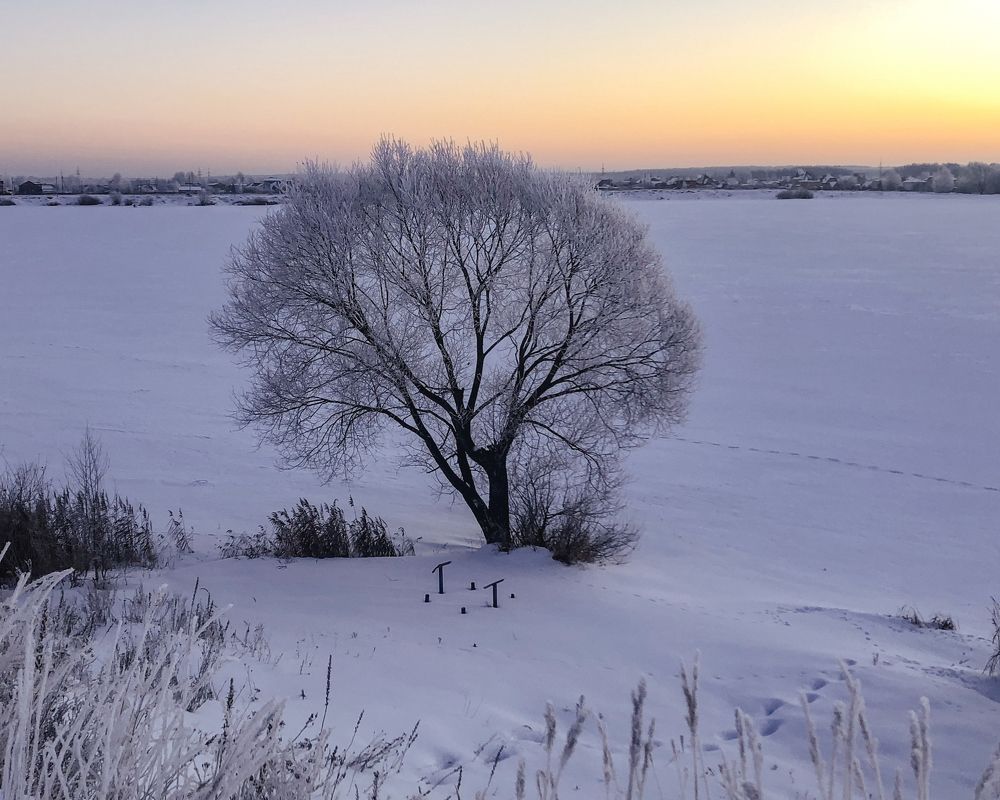 Фотография автора Ольга Лихтарь