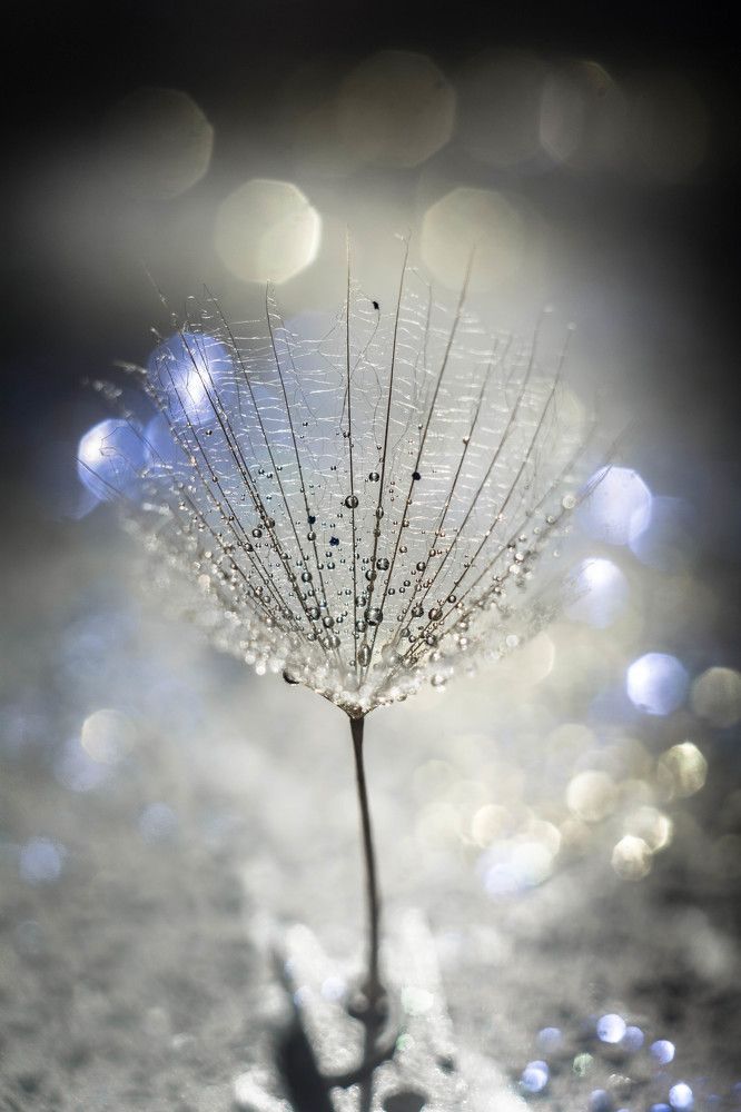 Photograph by Людмила Прибылова