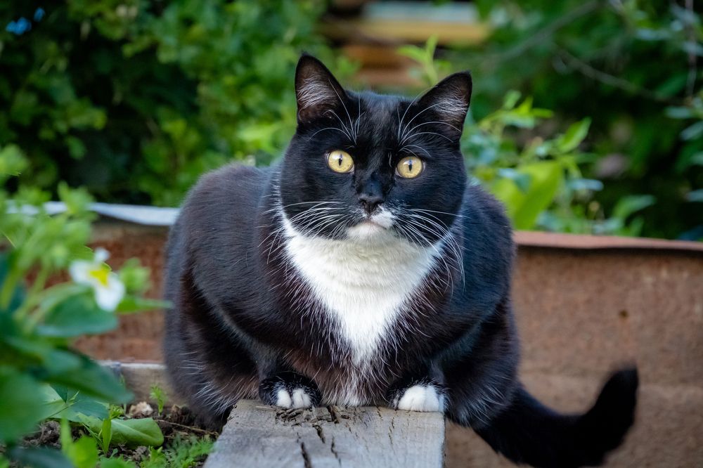 Photograph by Высотских Владимир