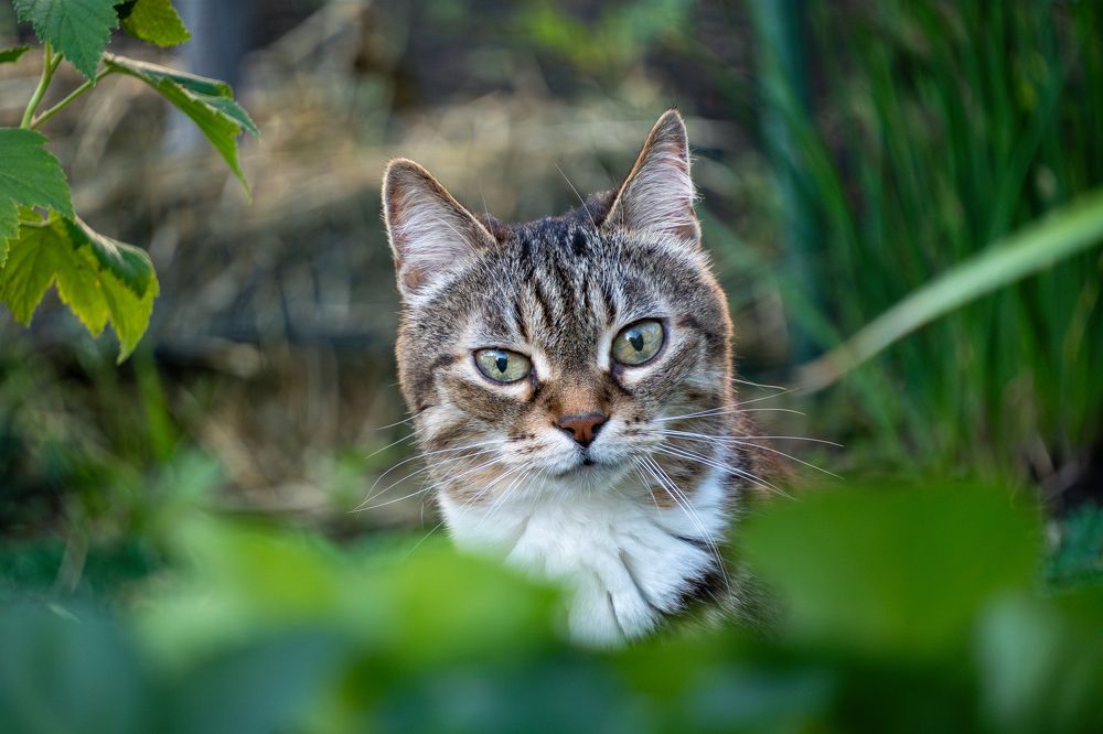 Photograph by Высотских Владимир