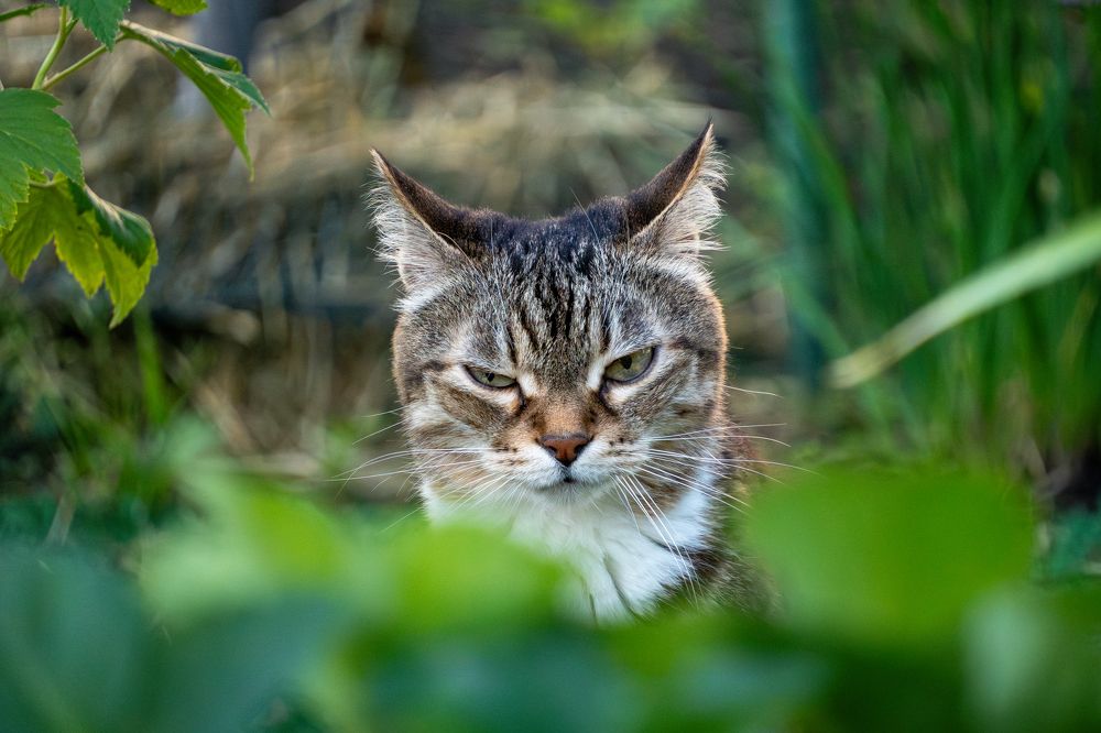 Photograph by Высотских Владимир