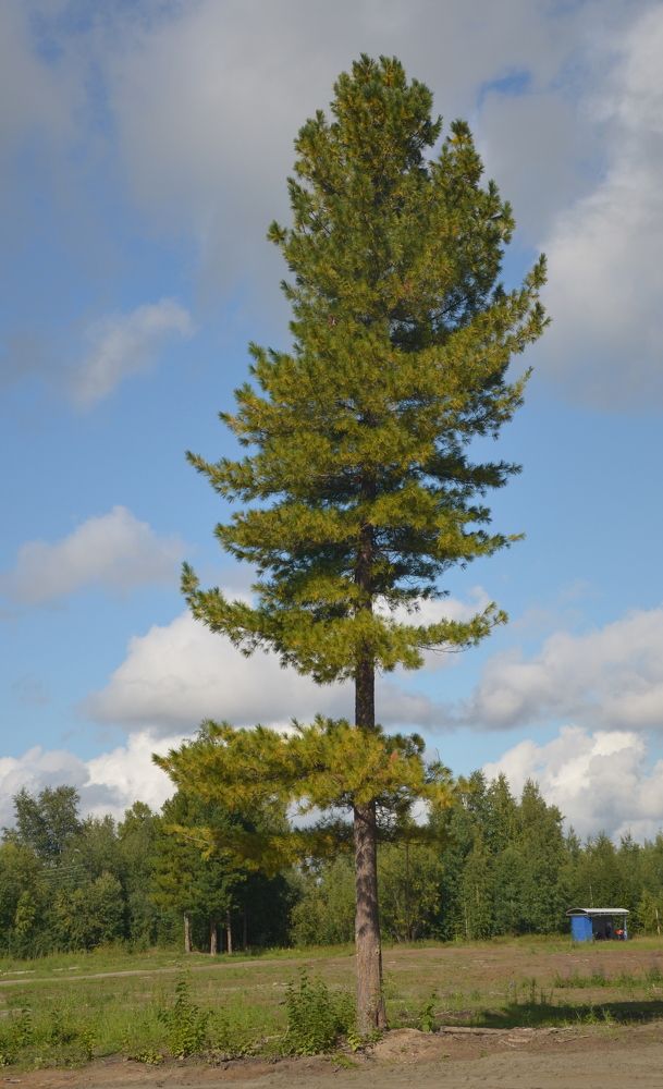 Photograph by Анна Морозова