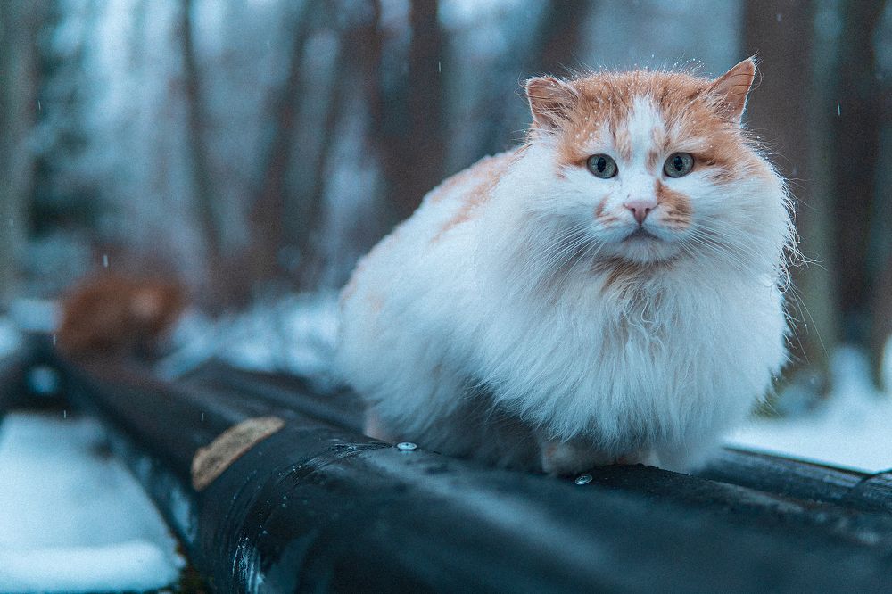 Photograph by Егор Ставер