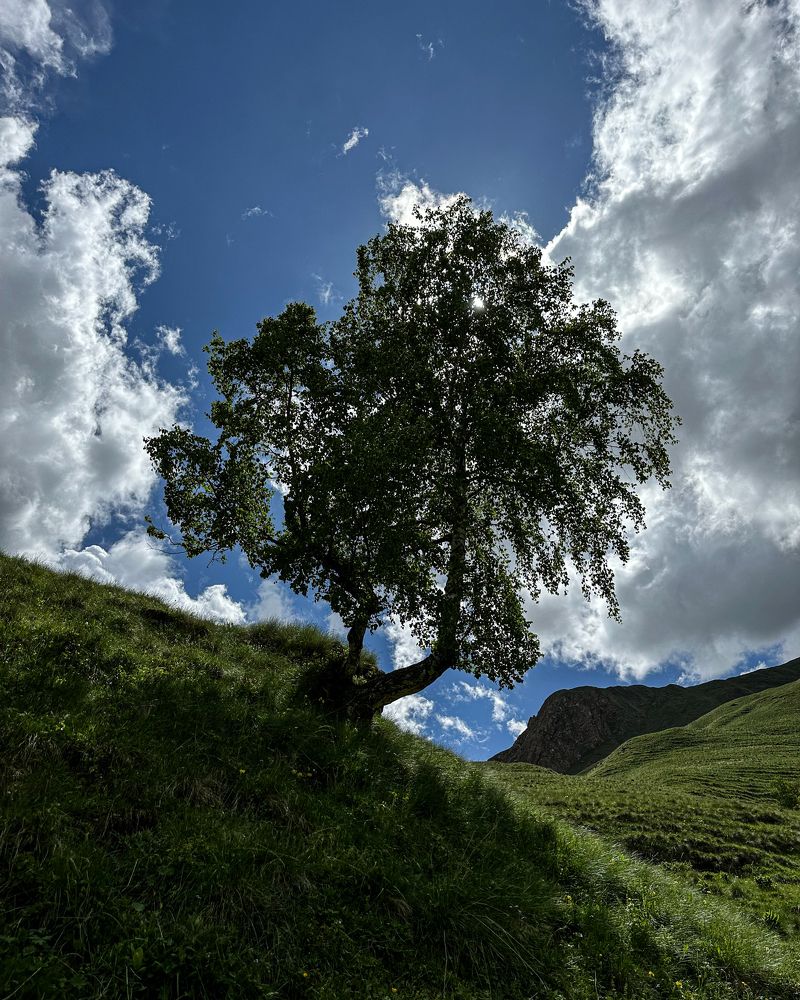 Photograph by Анна Петриенко