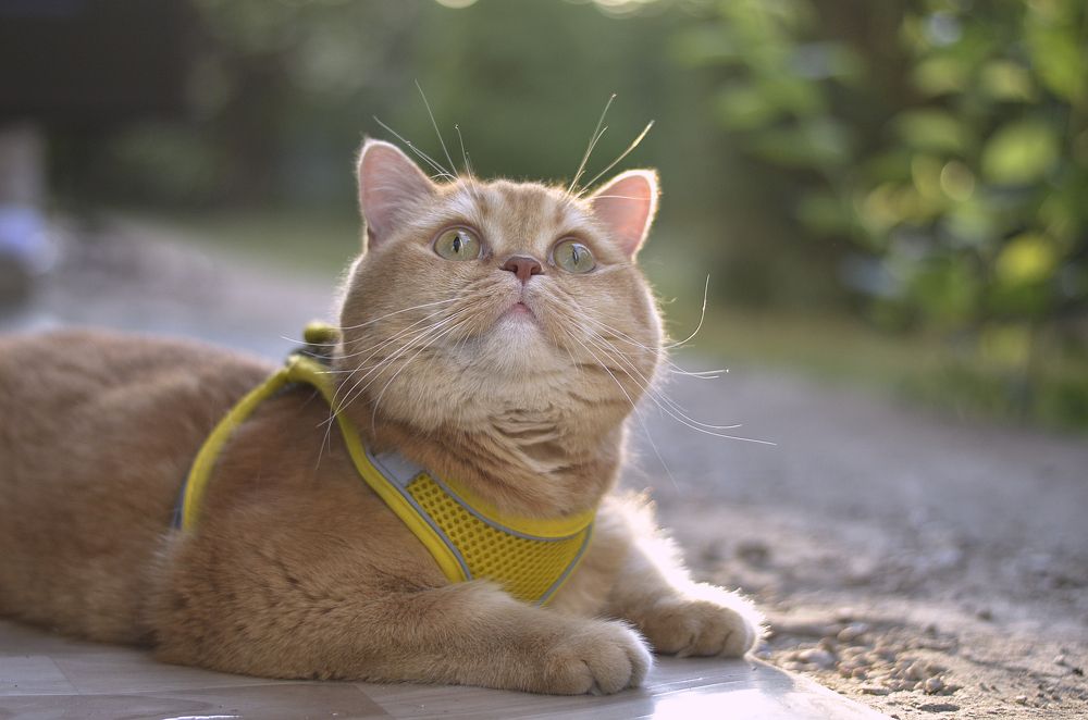 Photograph by Ирина Хламова