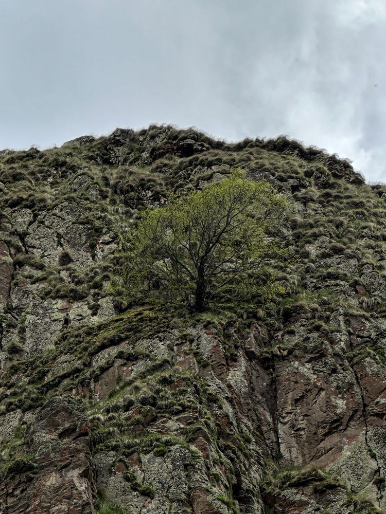 Photograph by Анна Петриенко