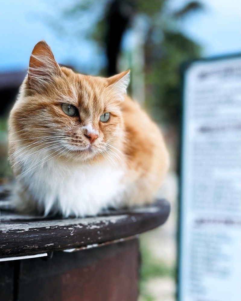 Photograph by Iuliia Akhulkova