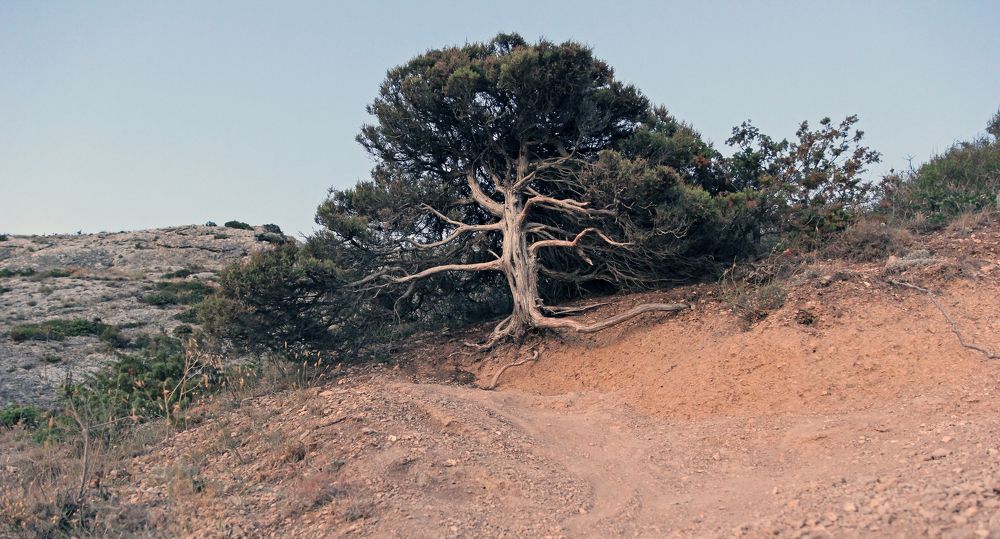 Photograph by Сергей Иванов