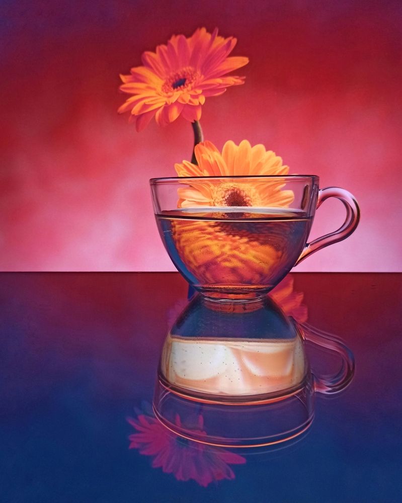 Photograph by Elena Bogomolova