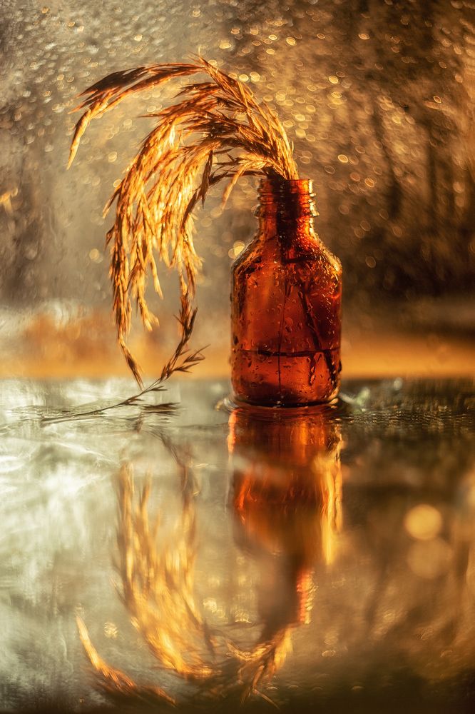 Photograph by Ирина Платонова