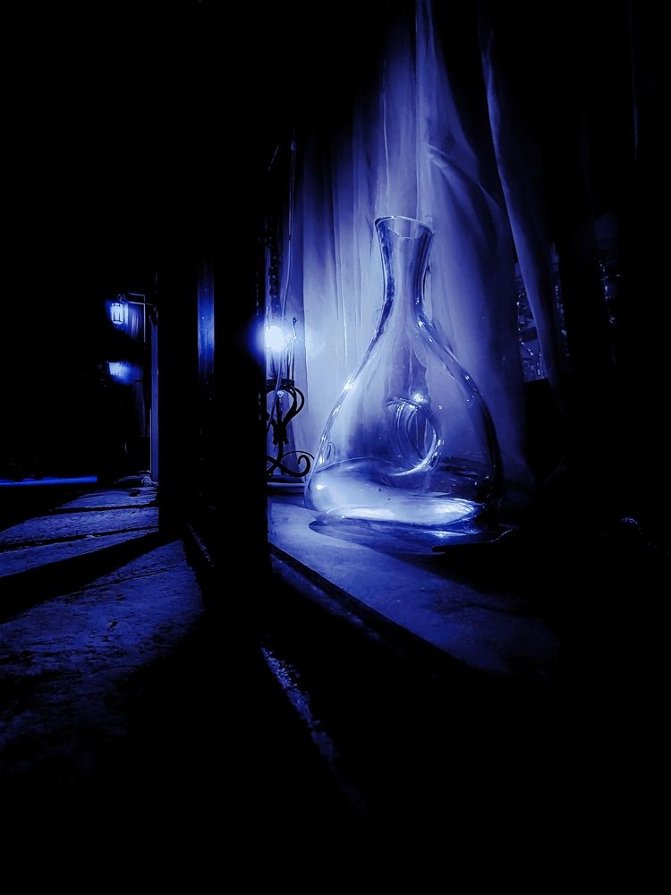 Фотография автора JELENA VASIC