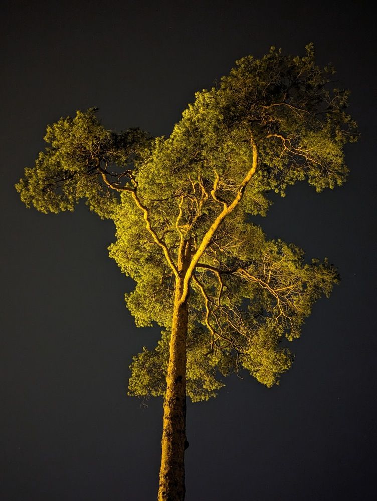 Photograph by Евгений Краснов