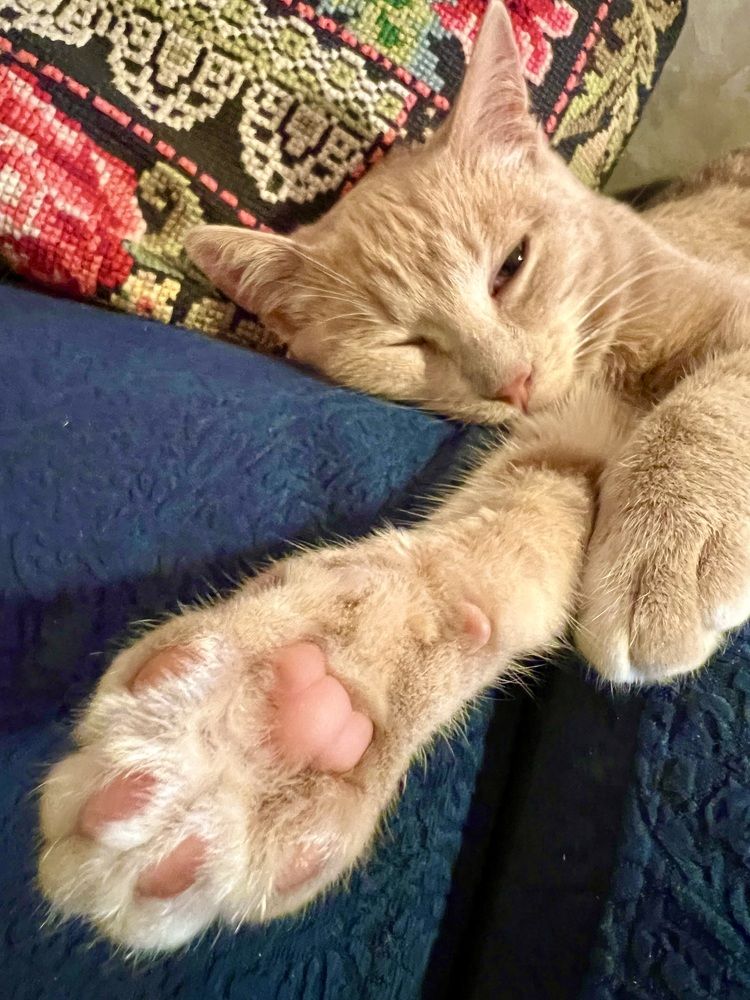 Photograph by Ирина