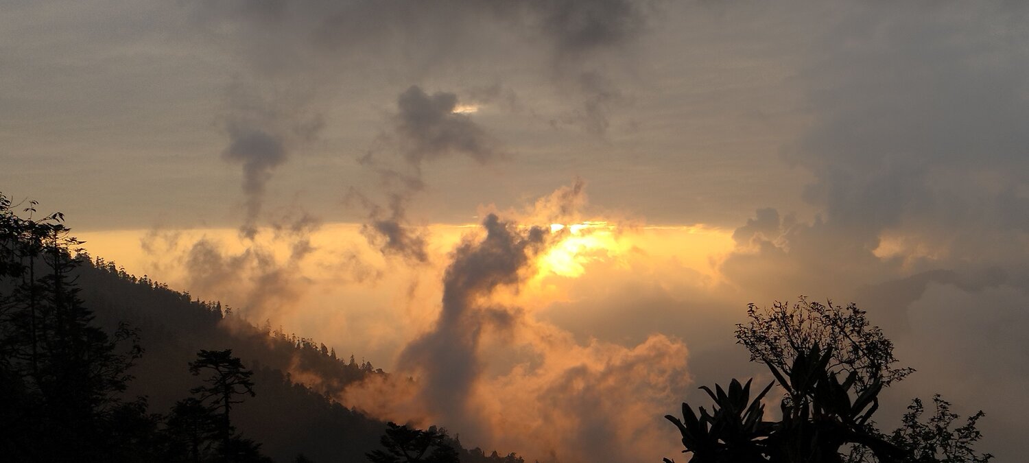 Photo #10727146