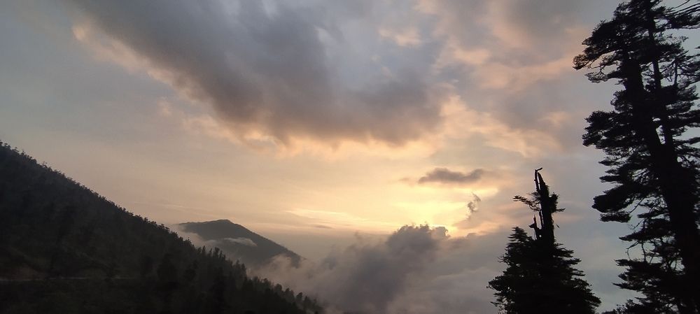 Photo #10727147