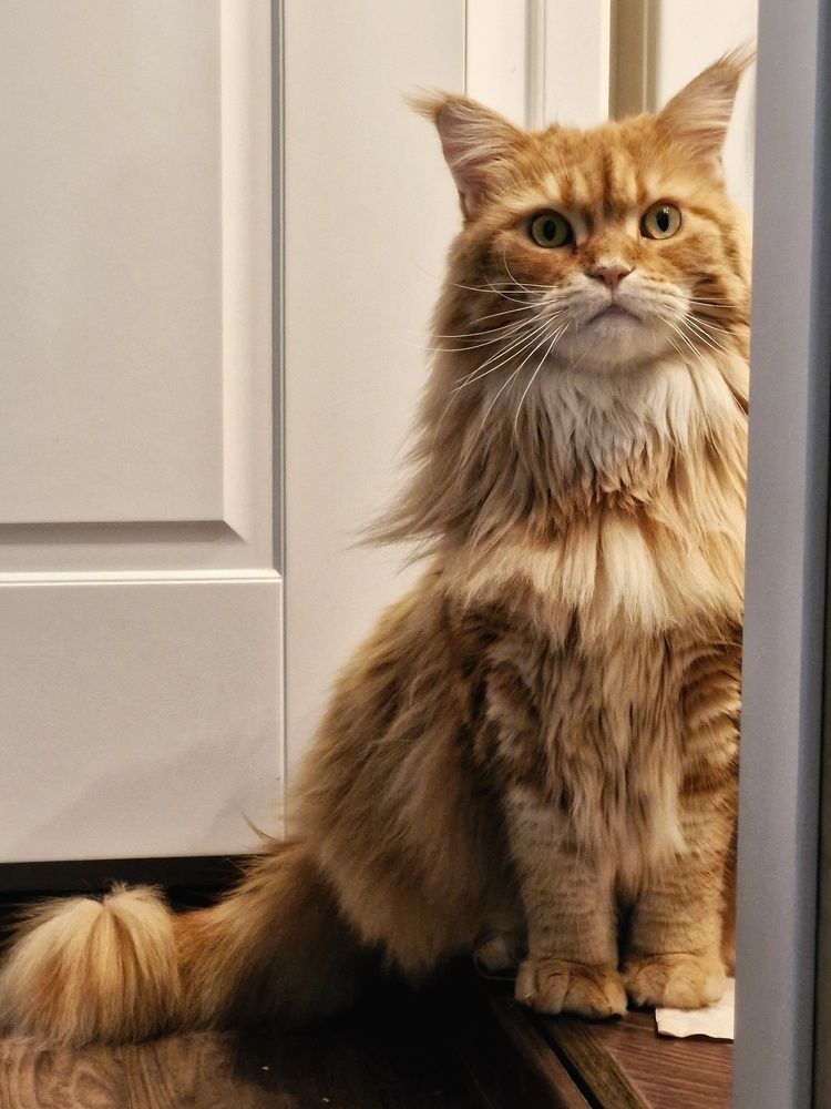 Photograph by Angelica Medvedeva