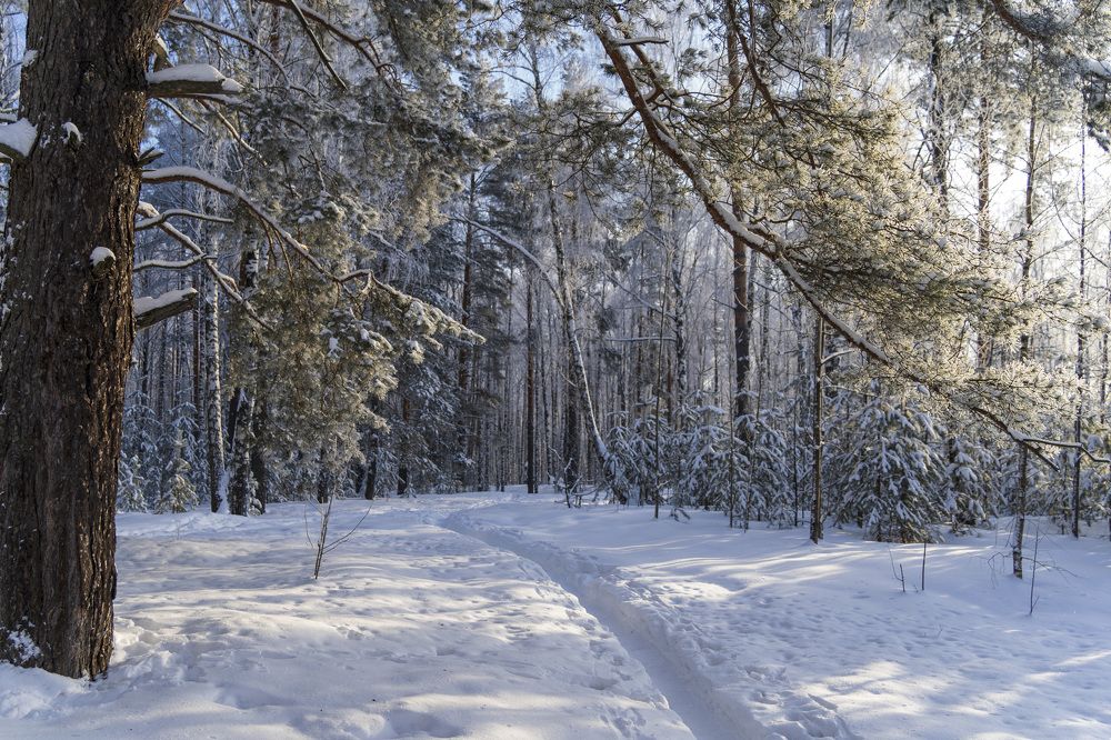 Photograph by косяк