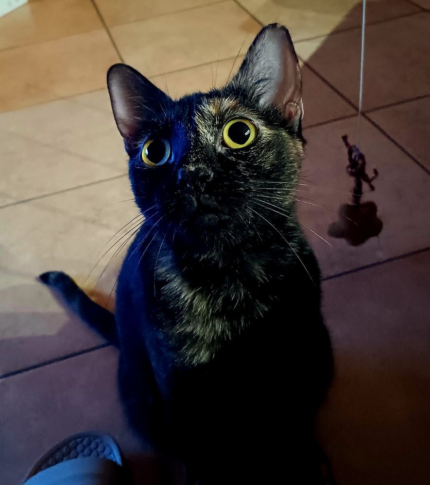 Photograph by Debora