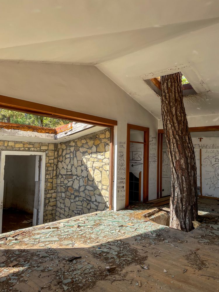 Photograph by Екатерина Мирошникова