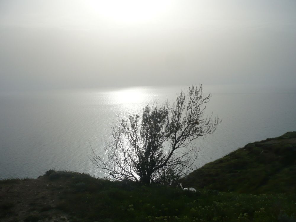 Photograph by Елена Смирнова